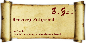 Brezsny Zsigmond névjegykártya